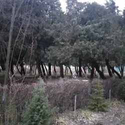 Jalal-Abad Mineral Springs - Jalal-Abad