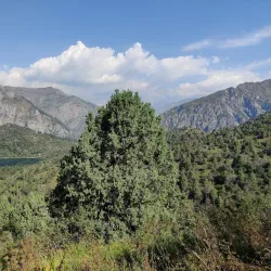 Sary-Chelek Biosphere Reserve - Jalal-Abad