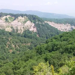 Arslanbob Walnut Forest - Kochkor-Ata