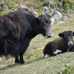 Kochkor-Ata Cultural Center - Kochkor-Ata