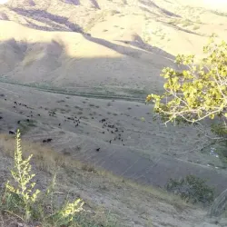 Kochkor-Ata Hot Springs - Kochkor-Ata