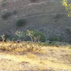Kochkor-Ata Hot Springs - Kochkor-Ata