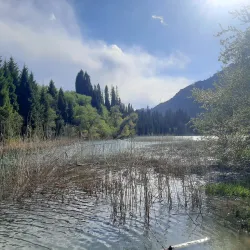 Sary-Chelek Biosphere Reserve - Kochkor-Ata