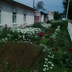 Historical Monuments - Kyzyl-Kiya