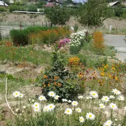 Historical Monuments - Kyzyl-Kiya