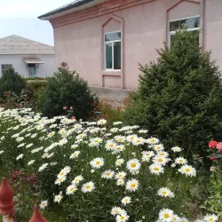 Local Museums - Kyzyl-Kiya