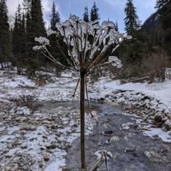 Nearby Natural Springs - Kyzyl-Kiya