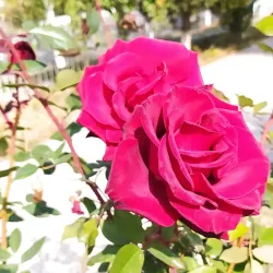 Surrounding Mountains - Kyzyl-Kiya