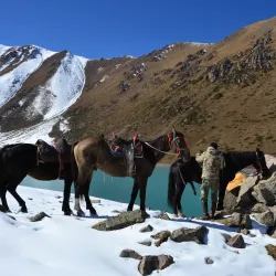 Kyrgyz Traditional Yurt Stay - Kyzyl-tuu