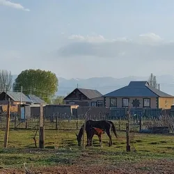 Kochkor Village - Naryn