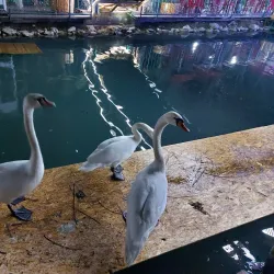 Ak-Bura Mosque - Osh