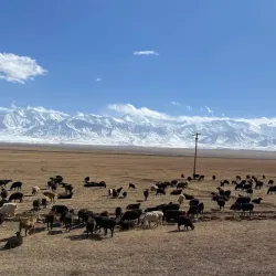 Alay Mountains - Osh