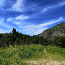Sary-Chelek Biosphere Reserve (near Osh) - Osh