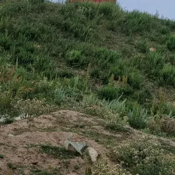 Talas Valley - Talas