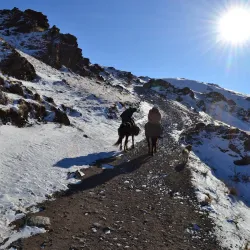 Traditional Kyrgyz Yurt Experience - Talas