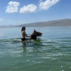 Traditional Kyrgyz Yurt Experience - Talas