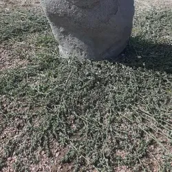 Tokmok Historical Museum - Tokmok