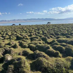 Traditional Kyrgyz Yurt Camp - Tokmok