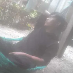 Attapeu Provincial Museum - Attapeu (Attopeu)