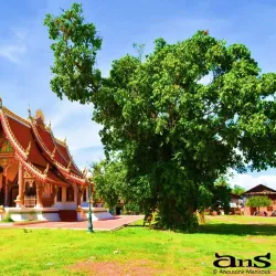 Ban That Village - Attapeu (Attopeu)