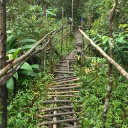 Bolaven Plateau - Attapeu (Attopeu)