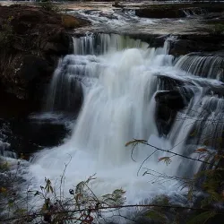 Bolaven Plateau - Attapeu (Attopeu)