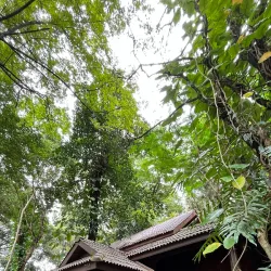 Tad Fane Waterfall - Attapeu (Attopeu)