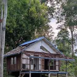 Tad Lo Waterfall - Attapeu (Attopeu)