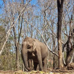 Tad Lo Waterfall - Attapeu (Attopeu)