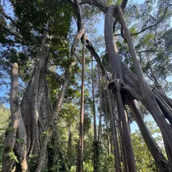 Biking Trails Around Luang Namtha - Luang Namtha (Nam Tha)