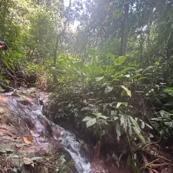 Biking Trails Around Luang Namtha - Luang Namtha (Nam Tha)