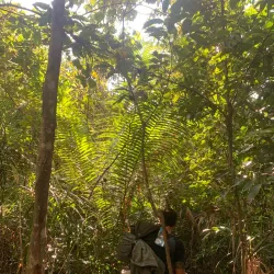 Biking Trails Around Luang Namtha - Luang Namtha (Nam Tha)