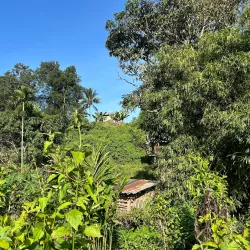 Biking Trails Around Luang Namtha - Luang Namtha (Nam Tha)