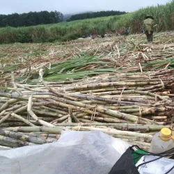 Muang Sing - Luang Namtha (Nam Tha)