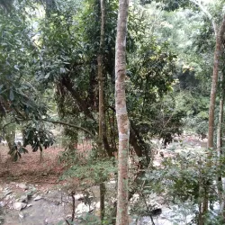 Muang Sing - Luang Namtha (Nam Tha)