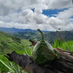 Muang Sing - Luang Namtha (Nam Tha)
