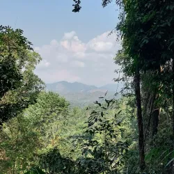 Nam Ha National Protected Area - Luang Namtha (Nam Tha)