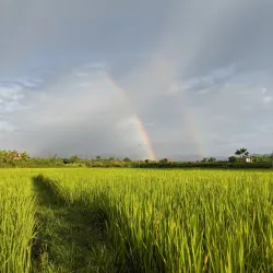 Nam Tha River - Luang Namtha (Nam Tha)