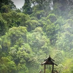 Pha Yueng Waterfall - Luang Namtha (Nam Tha)