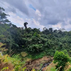 Pha Yueng Waterfall - Luang Namtha (Nam Tha)