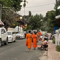 Alms Giving Ceremony - Luang Prabang