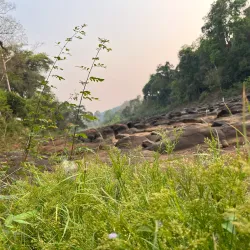 Bolaven Plateau - Pakse