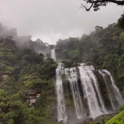 Bolaven Plateau - Pakse