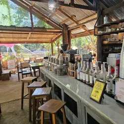 Coffee Plantations of Bolaven Plateau - Pakse