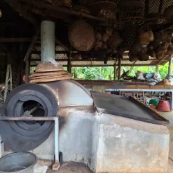 Coffee Plantations of Bolaven Plateau - Pakse