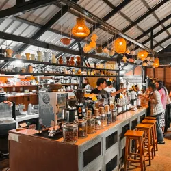 Coffee Plantations of Bolaven Plateau - Pakse