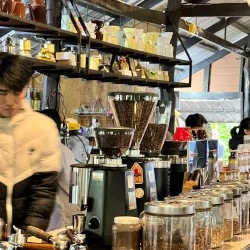 Coffee Plantations of Bolaven Plateau - Pakse