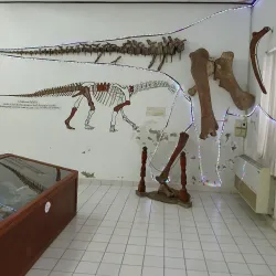 Savannakhet Dinosaur Museum - Savannakhet