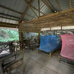 Nam Et-Phou Louey National Protected Area - Xiangkhouang