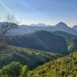 Nam Et-Phou Louey National Protected Area - Xiangkhouang